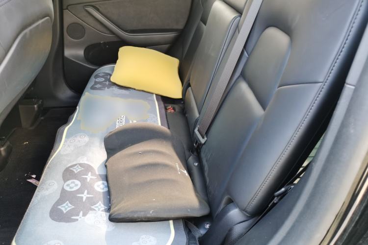 Used Tesla Model Y 2023 Rear-Wheel-Drive Version Left Rear Seat