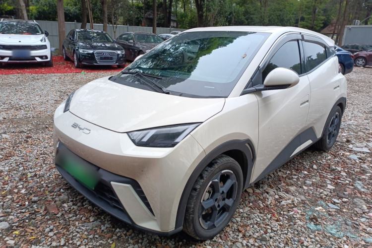 Used BYD Seagull 2024 Honor Edition 305km Freedom Version