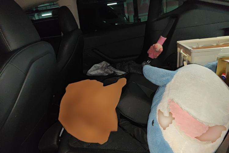 Used Tesla Model Y 2022 Revised Version Rear-Wheel Drive
