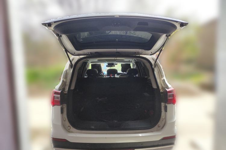 Used FORTHING Joyear  Trunk