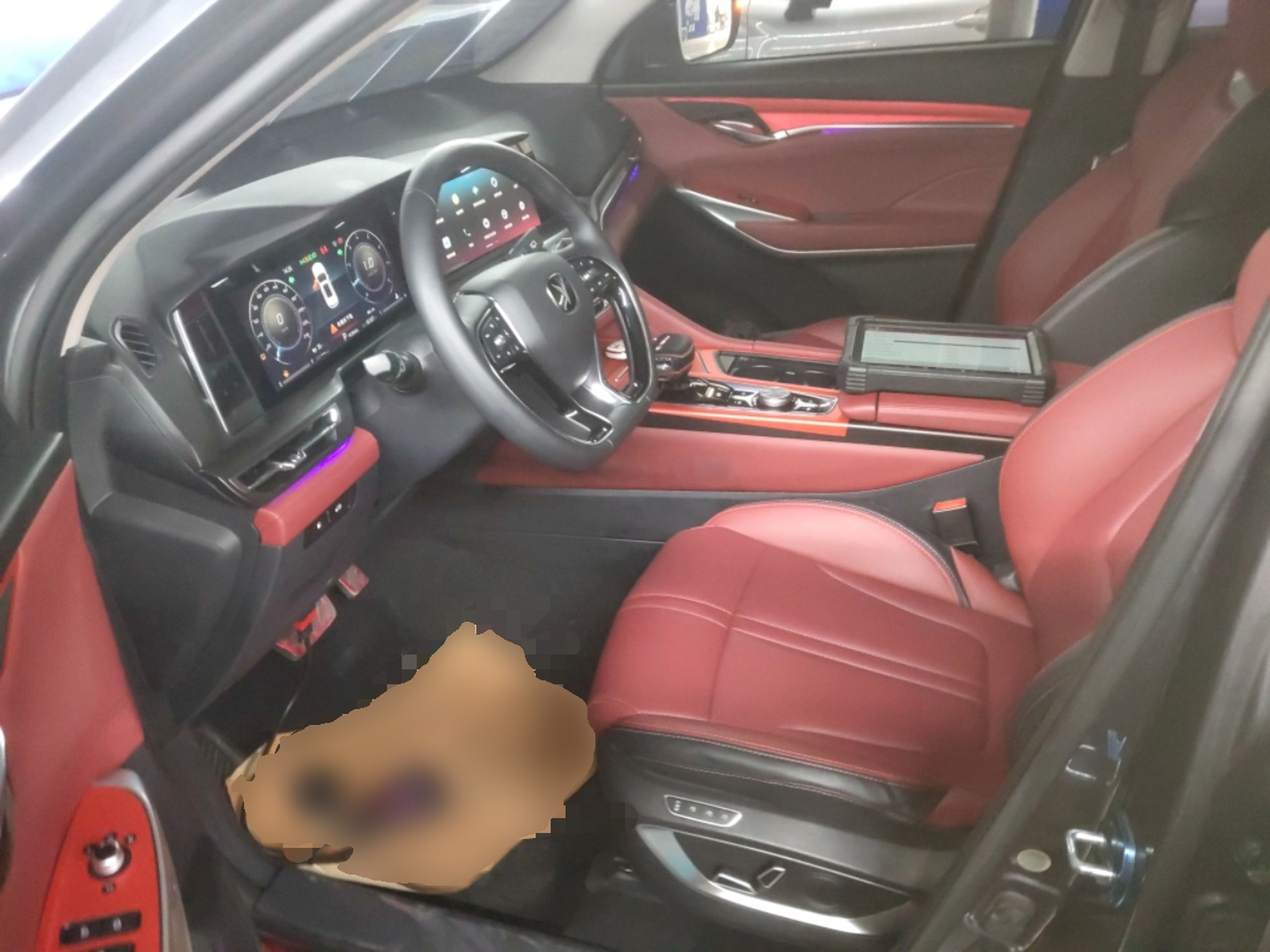 Interior delantero