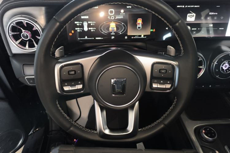 Used Tank 300 2024 2.0T Conqueror
