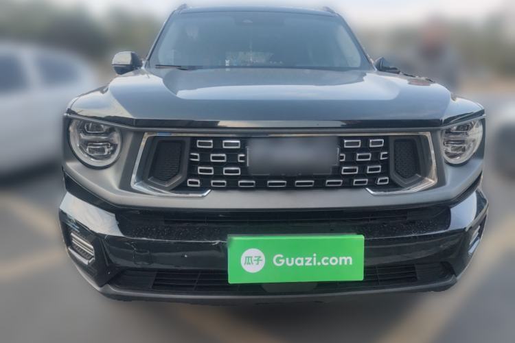 Used Haval H Dog 2023 2.0T Two-Wheel Drive Chaoye Version Plus