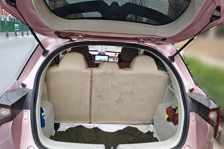 Used Geometry E Firefly 2024 401 km Fluorescent Trunk