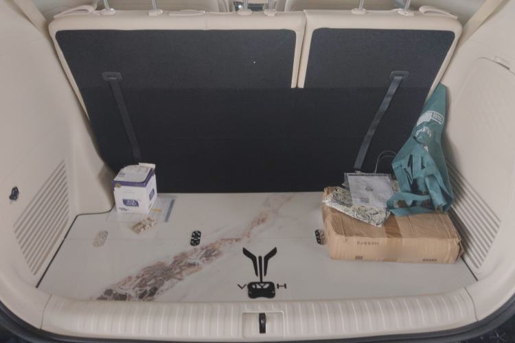 Used VOYAH Dream 2022 Low-Carbon Edition Home