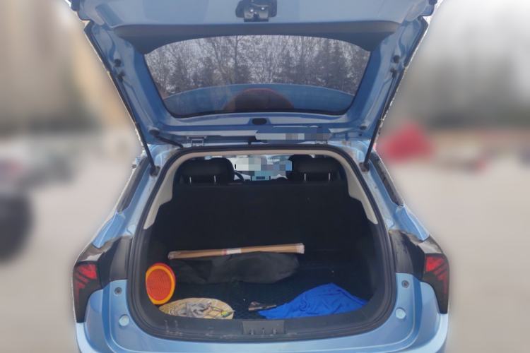 Used NETA V 2021 Long-Range Entertainment Edition Upgrade Model