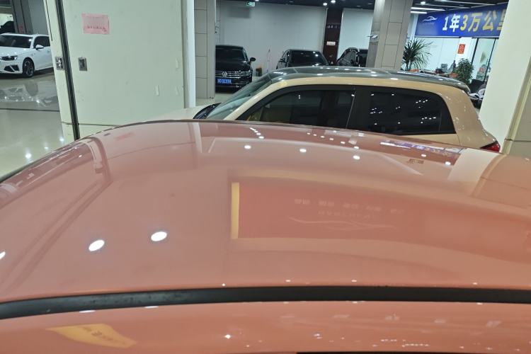 Used NETA V 2021 Witch Edition Roof