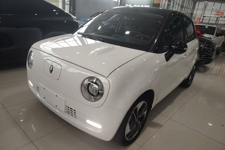 Used ORA Black Cat 2019 351 km Lingzhi Edition