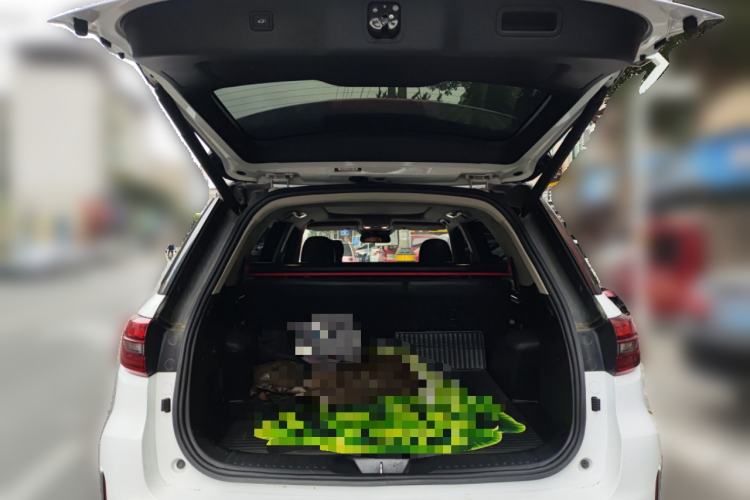 Used CHANGAN CS95 2019 2.0T Two-Wheel-Drive Luxury Version