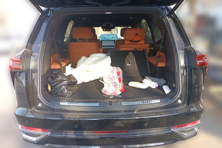 Used Wey Lanshan 2023 Four-Wheel Drive Ultra-Long Range Version