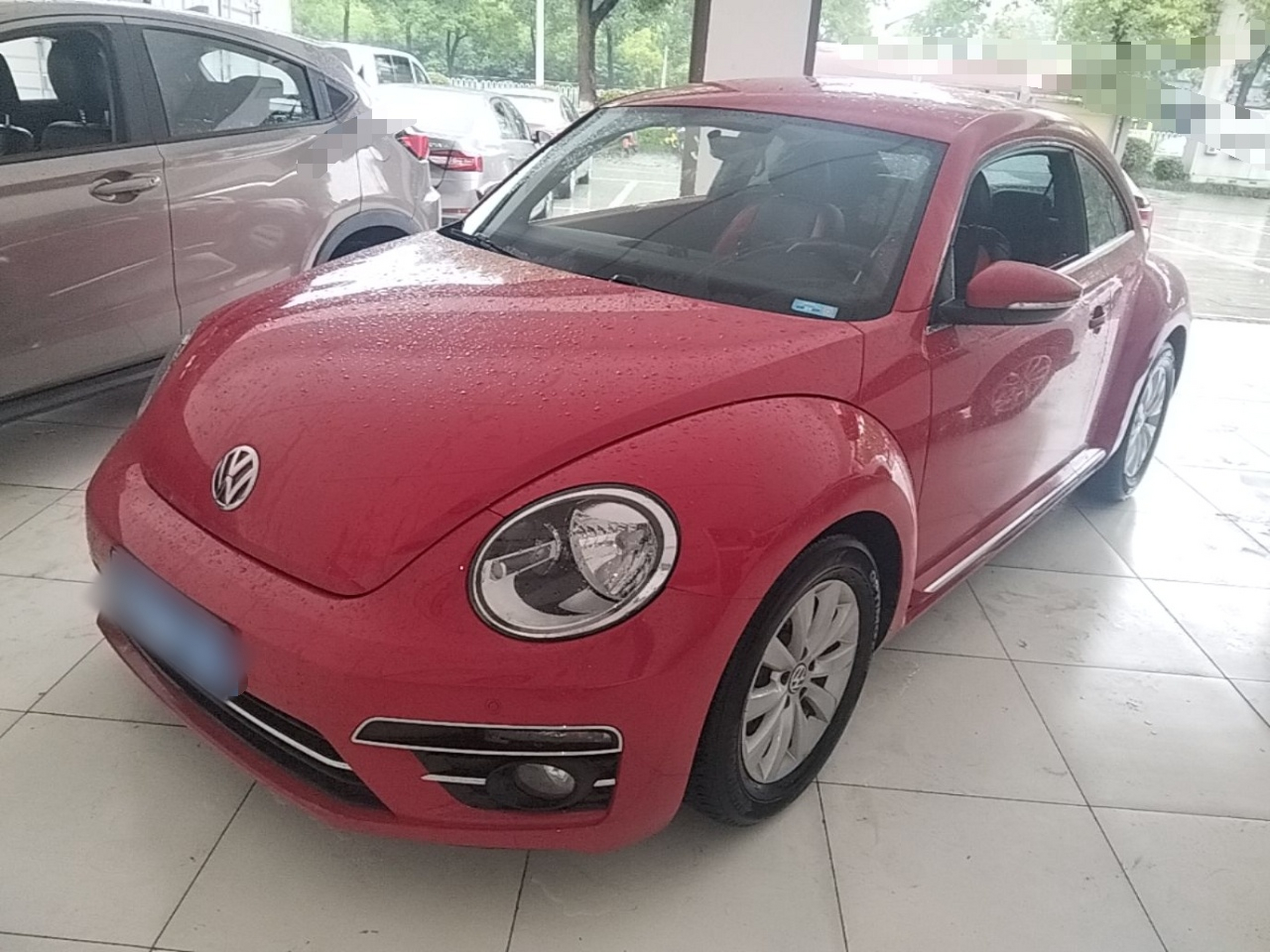 Parte inferior delantera