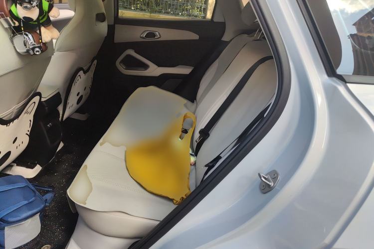 Used BYD Yuan UP 2024 401KM Beyond Edition Left Rear Seat