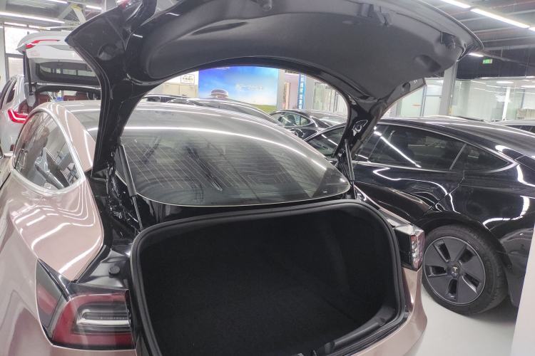 Used Tesla Model 3 2020 Standard Range Rear-Wheel Drive Upgraded Version Trunk