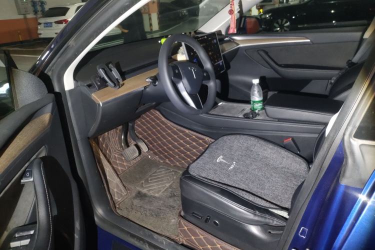 Used Tesla Model Y 2021 Standard Range Rear-Wheel Drive Version
