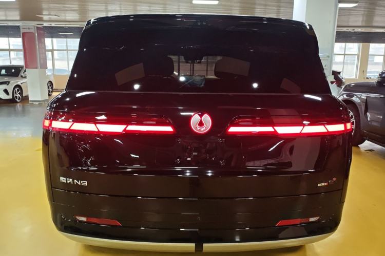 Used Denza N9 2025 Flagship Model Rear