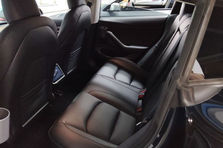 Used Tesla Model 3 2020 Revised Version Standard Range Rear-Wheel Drive – Upgraded Edition Left Rear Seat
