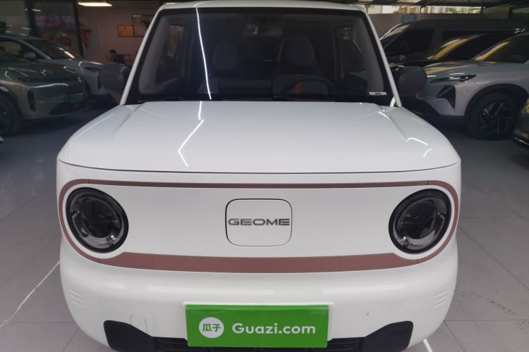 Used Geely Galaxy Panda 2024 Panda Mini 200km Endurance Bear Front