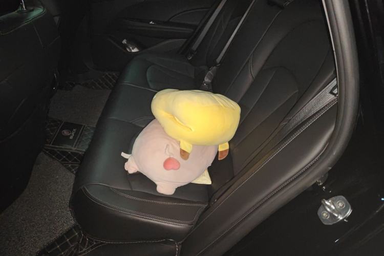 Used Buick LaCrosse 2022 552T Luxury Version Left Rear Seat