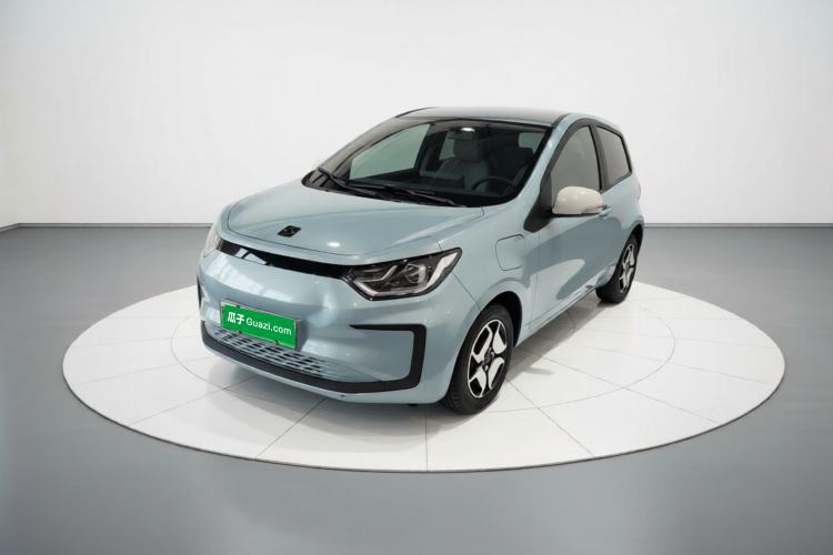 Used SOL E10X 2022 Flower Fairy Style Baby's Breath