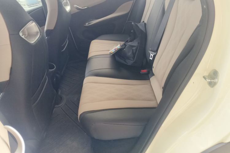 Used BYD Dolphin 2025 420km Free Edition Left Rear Seat