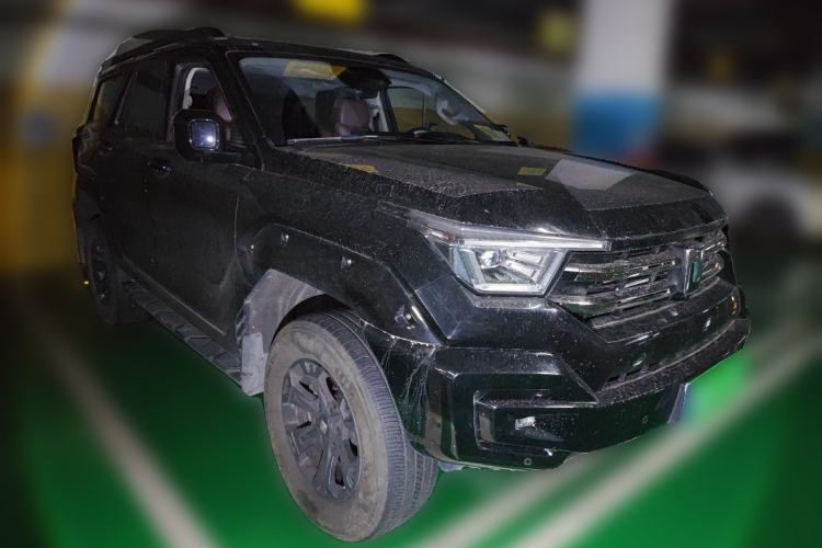 Used Tank 400 2025 2.0T Gasoline Version
