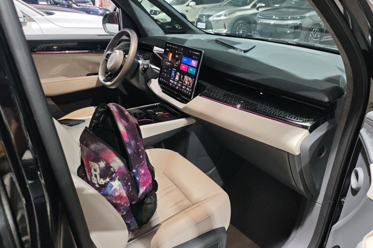 Used Zeekr 009 2022 WE Edition Right Front Seat