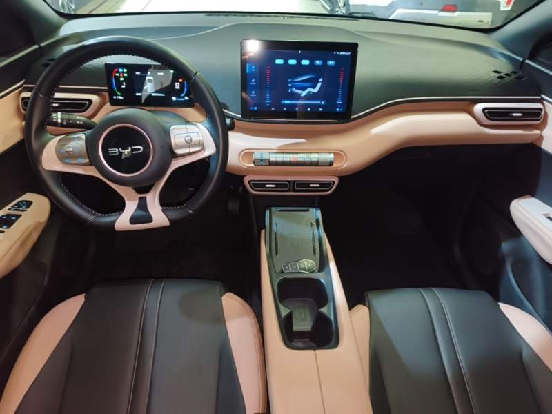 Used BYD Seagull 2025 305 km Free Version — 9