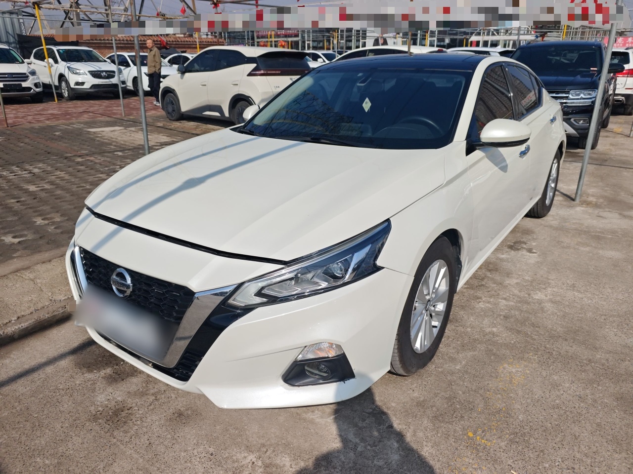 Parte inferior delantera