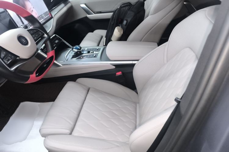 Used BYD Tang New Energy 2024 DM-i Glory Edition 112KM Flagship Model Left Front Seat