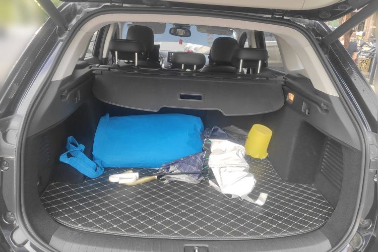 Used EXEED TX 2020 1.6T Two-Wheel Drive Star Edition
