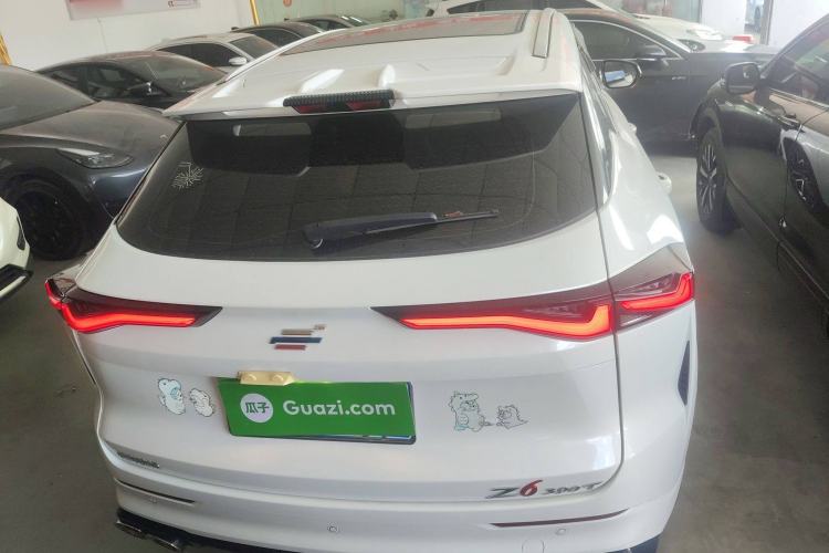 Used Oshan Z6 2023 Blue Whale 2.0T Automatic Zhiyuan Model