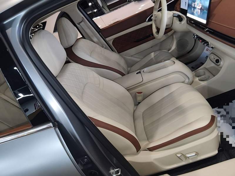 Used ORA Good Cat 2025 Model, 430 km Prestige Version — 24
