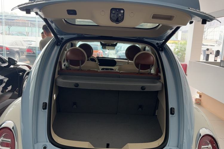 Used ORA Ballet Cat 2023 401 km Luxury Version
