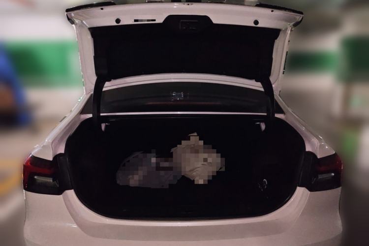 Used Rising ER6 2021 New Dynamic Edition 520km Smart Leading Version