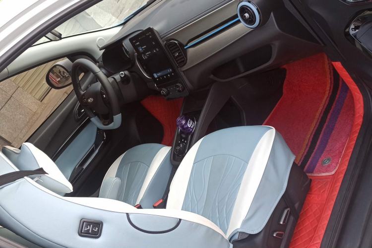 Used Chery Little Ant 2024 251km True Love Edition Interior 3