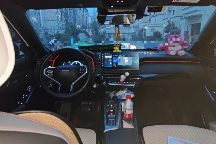 Used Haval LHERY 2021 High-Performance Version 1.5T Golden Rabbit Center Console