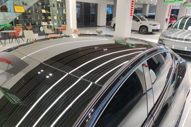 Used Tesla Model 3 2022 Rear-Wheel-Drive Version Roof