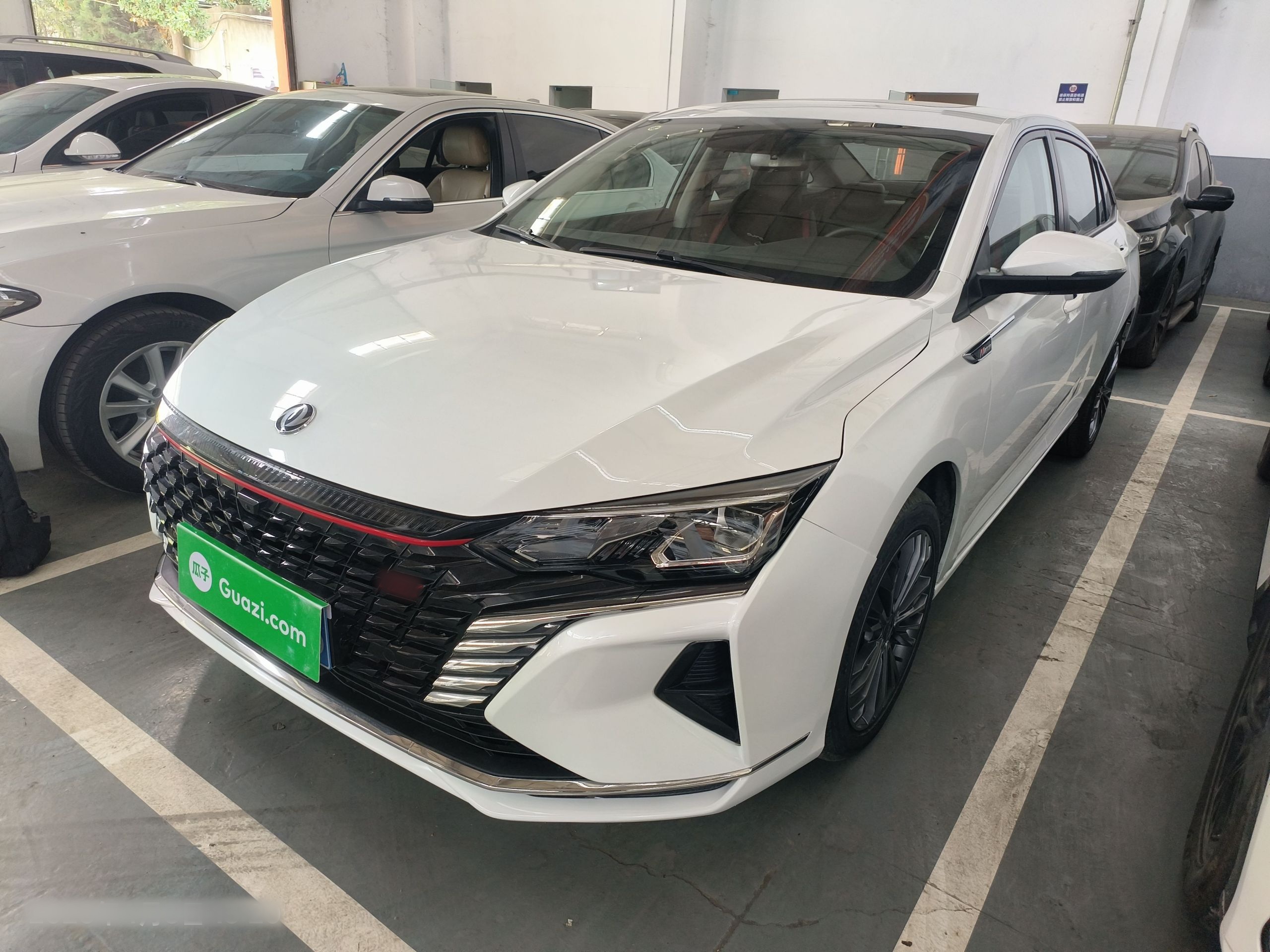 Parte inferior delantera