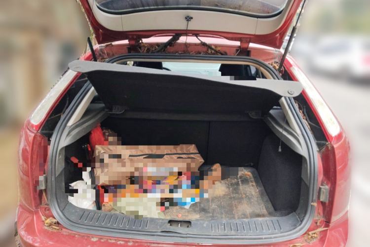 Used Ford Focus 2013 Hatchback Classic 1.8L Manual Base Model
