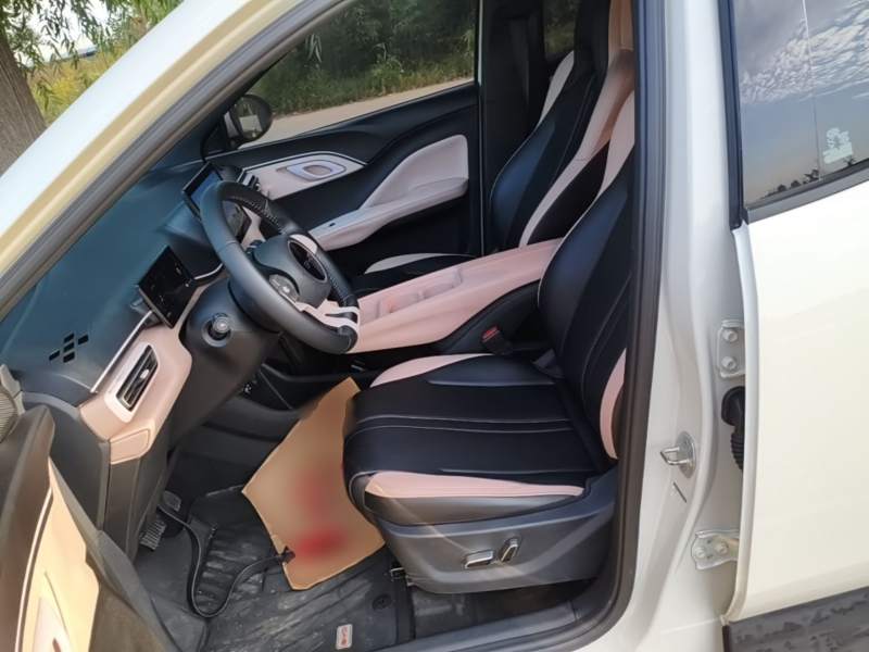 Used BYD Seagull 2025 305 km Free Version — 14