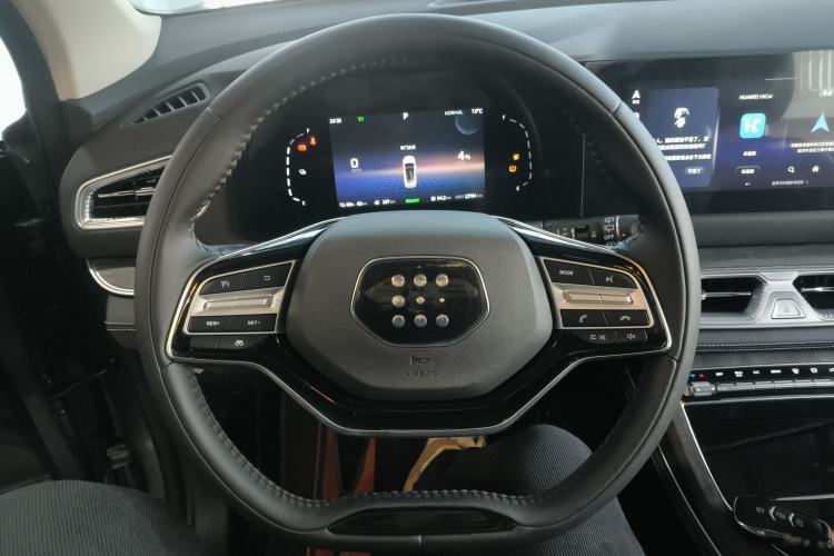 Used Landian E5 2024 Honor Edition 100KM Comfort Model 7 Seats
