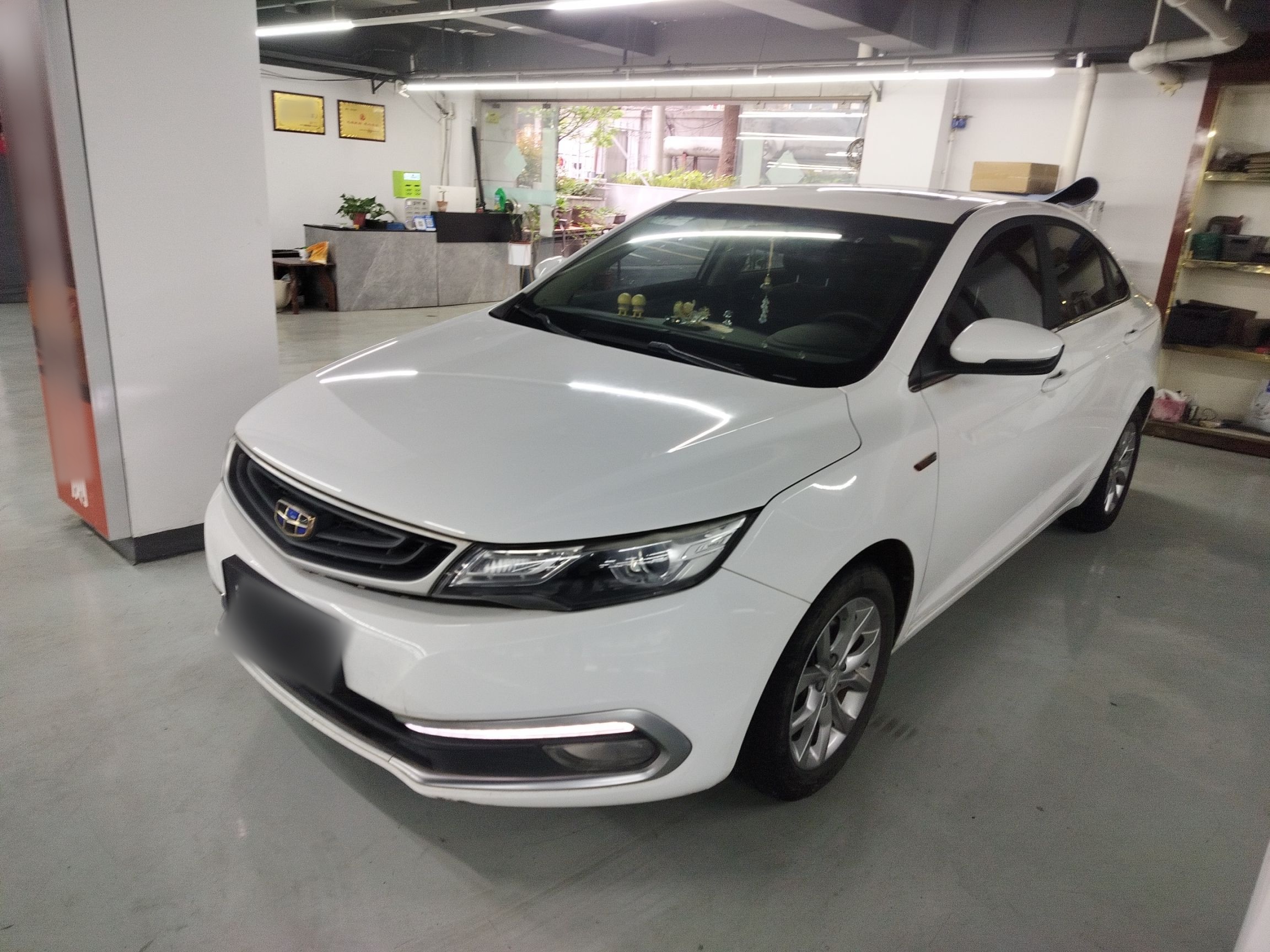 Parte inferior delantera