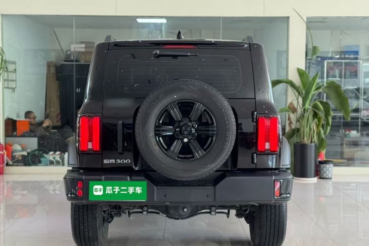 Used Tank 300 2025 2.4T Diesel Version Rear