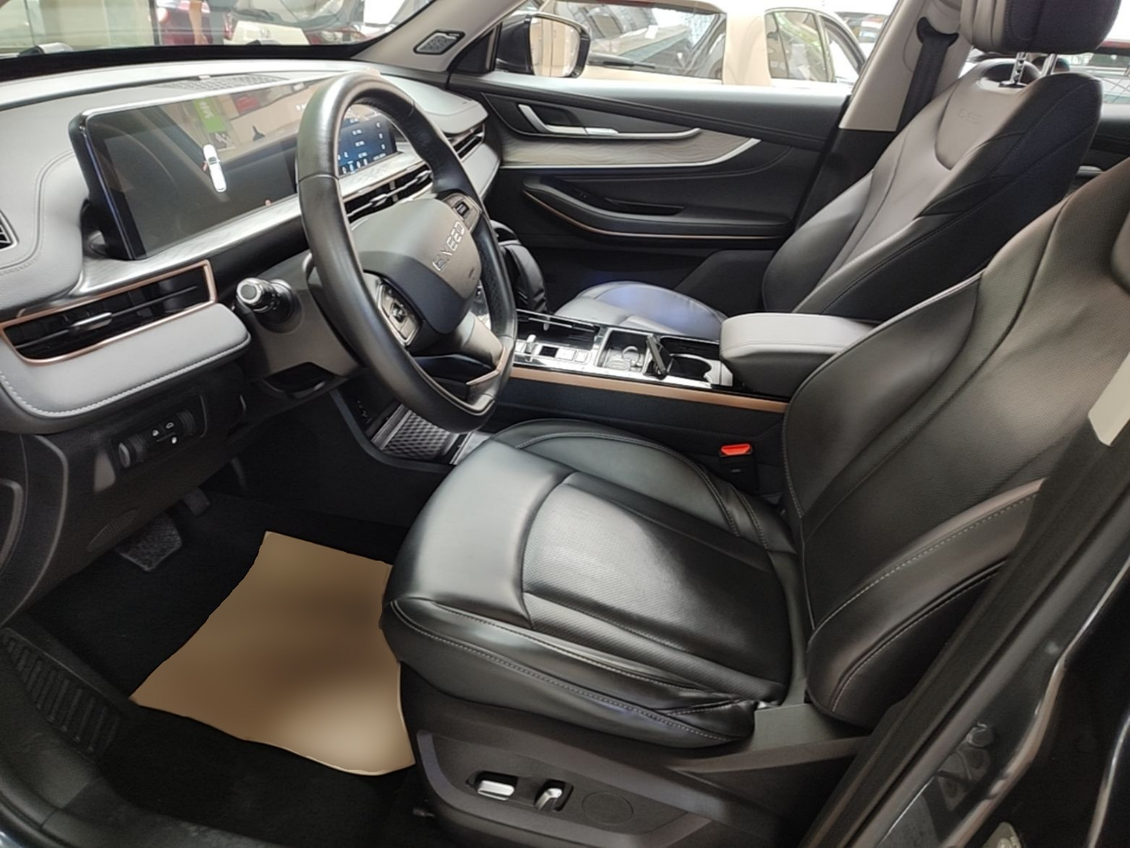 Interior delantero