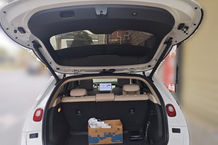 Used firefly firefly 2025 Illuminated Edition