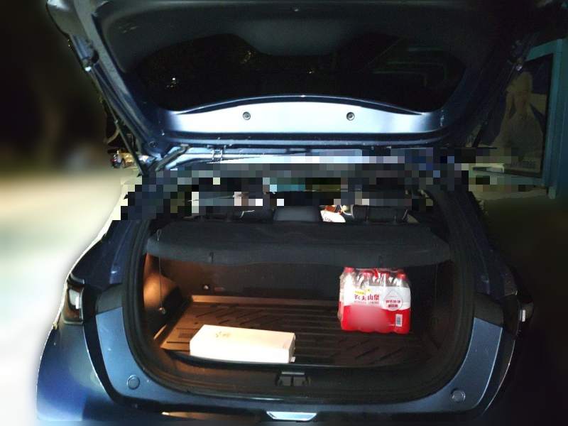 Used BYD Dolphin 2025 420km Free Edition — 15