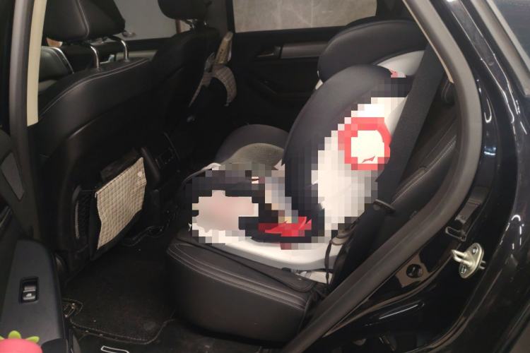 Used BYD Tang 2019 2.0T Automatic SmartConnect Luxury 7-Seater China VI Standard Left Rear Seat