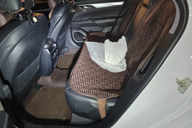 Used Geely Auto Emgrand GT 2021 1.8T Flagship Edition+ Left Rear Seat