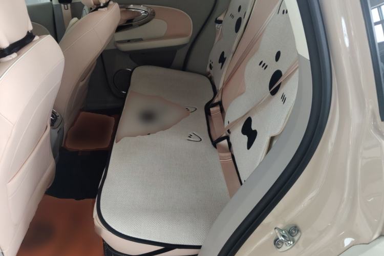 Used ORA Ballet Cat 2023 401 km Luxury Version