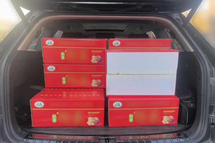 Used Skoda Kodiaq 2018 TSI380 7-Seater Four-Wheel-Drive Flagship Edition